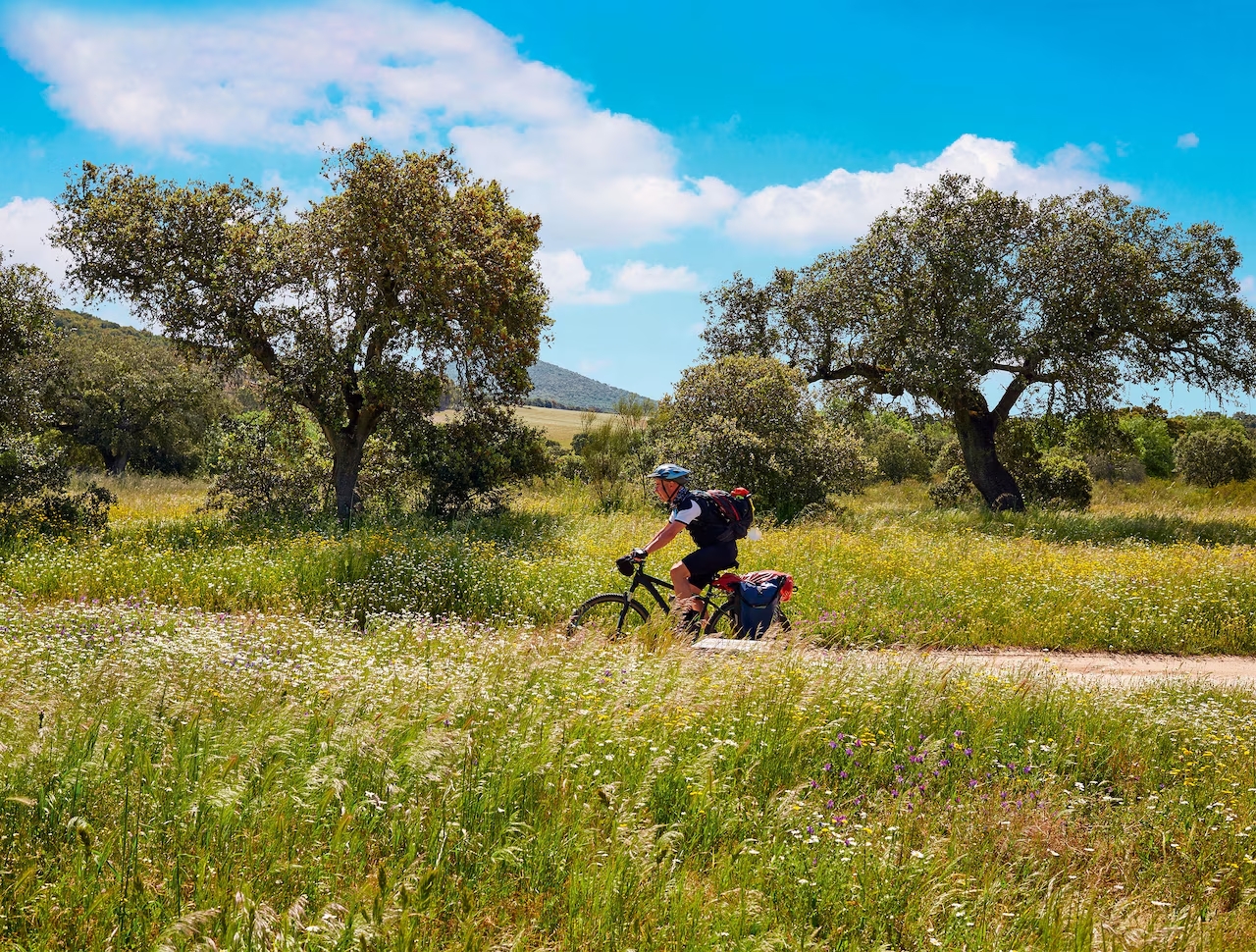 Ciclista con alforjas recorriendo un camino de tierra a través de un campo de flores silvestres bajo un cielo azul brillante.