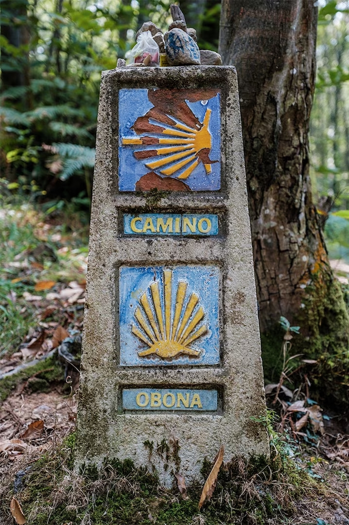 Marco de pedra do Caminho de Santiago com símbolos de vieira amarela e o nome "Obona" numa área florestal.