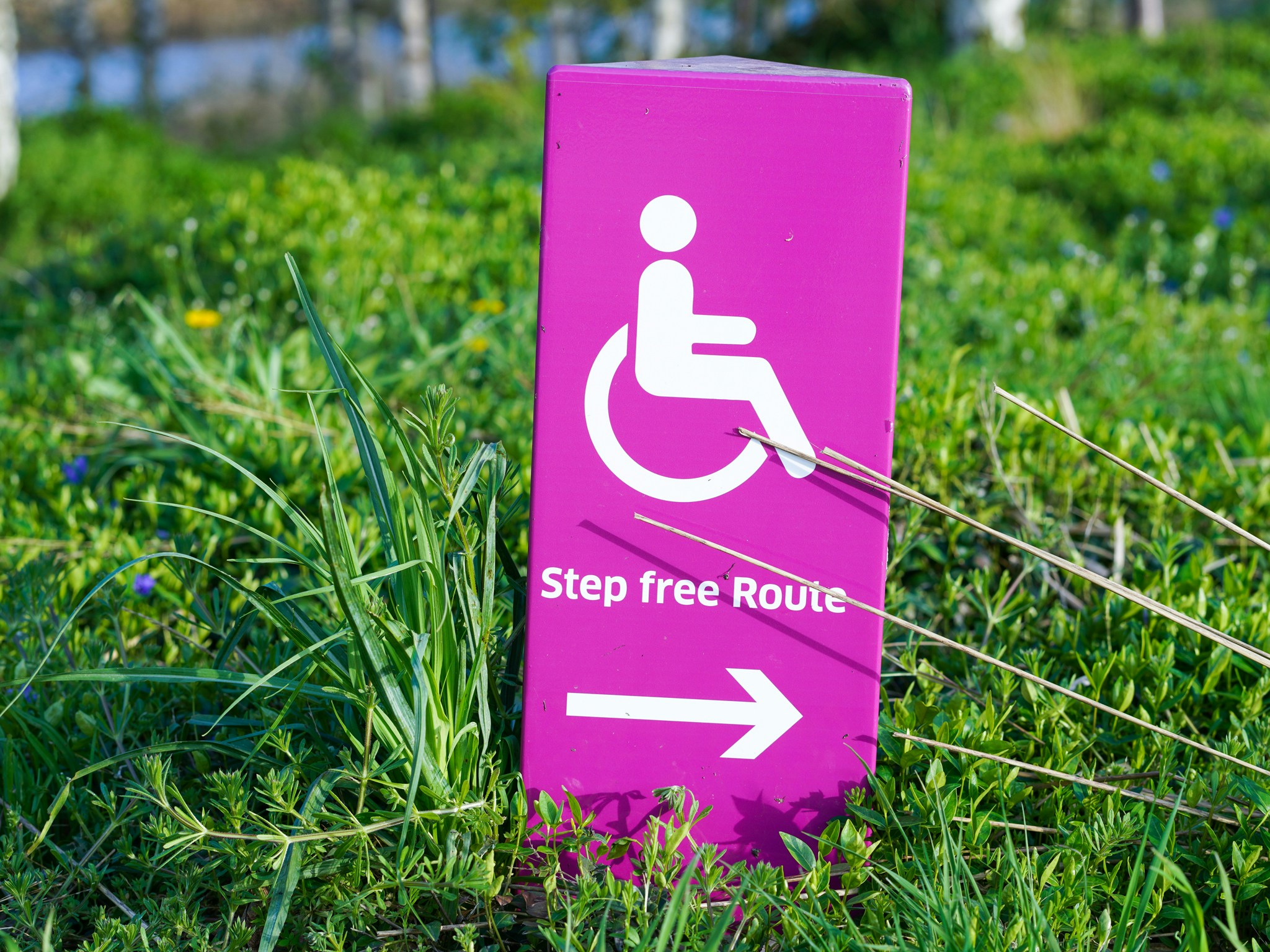Fioletowy znak z symbolem wózka inwalidzkiego i napisem „Step free Route” wskazującym w prawo.